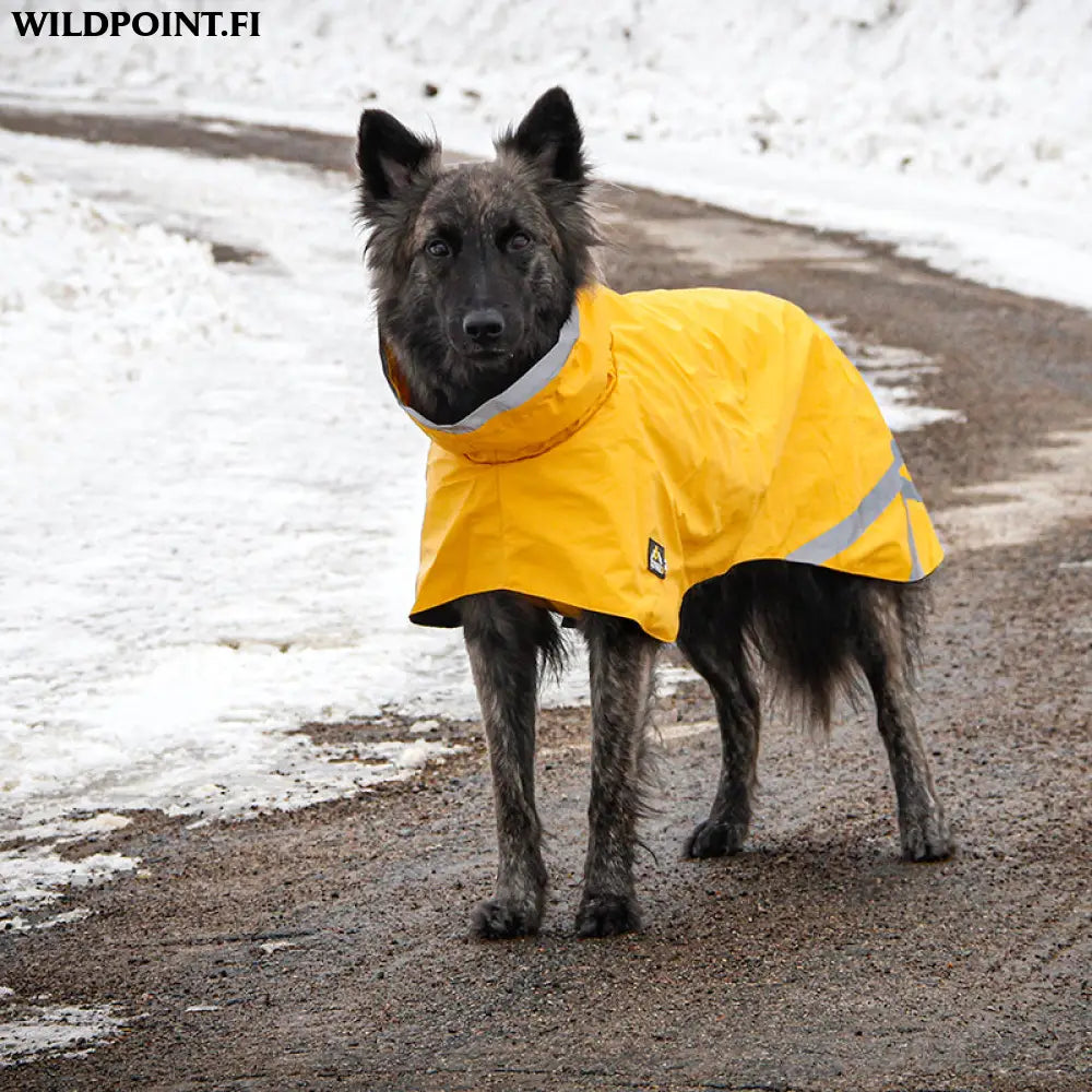 Kivalo koiran sadetakki niva