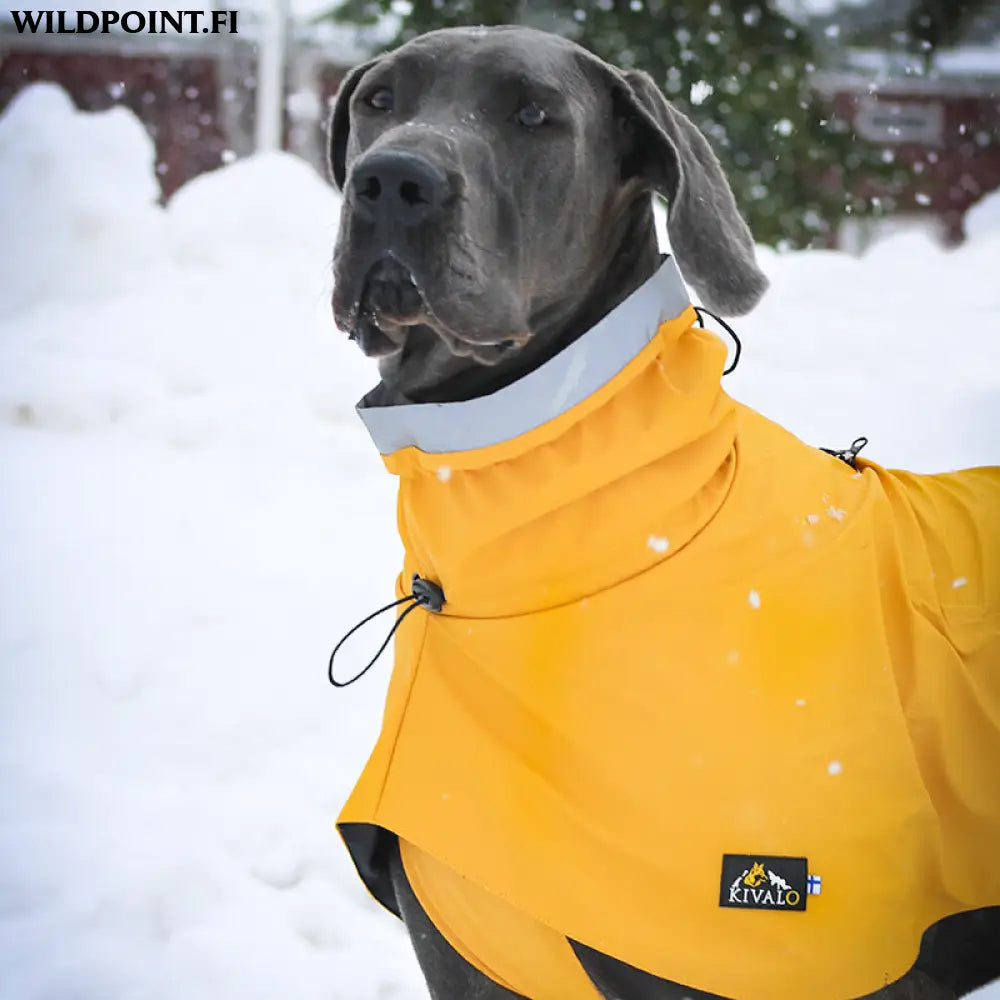 Kivalo koiran sadetakki niva