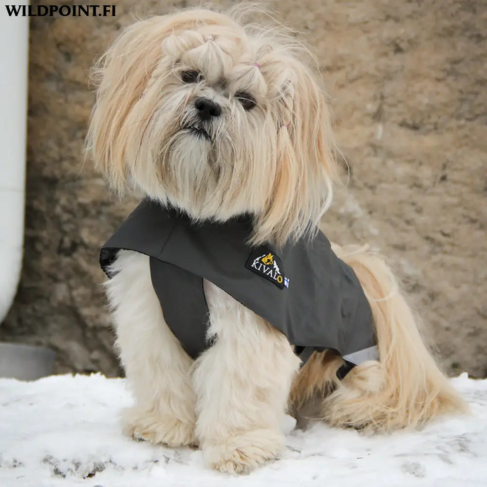 Kivalo koiran sadetakki niva