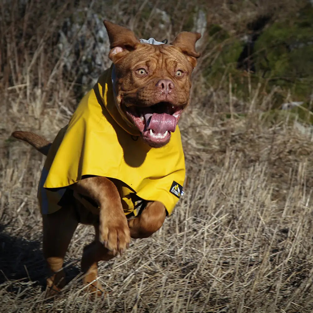 Kivalo koiran sadetakki niva - koiran - wildpoint outdoors retkeilyvarusteet verkkokaupasta