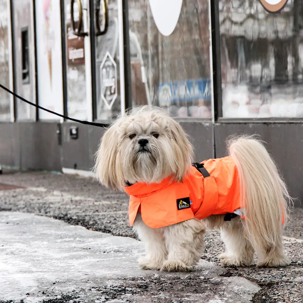 Kivalo koiran takki ohto - tuulipuku tuulipusakka - wildpoint outdoors retkeilyvarusteet verkkokaupasta