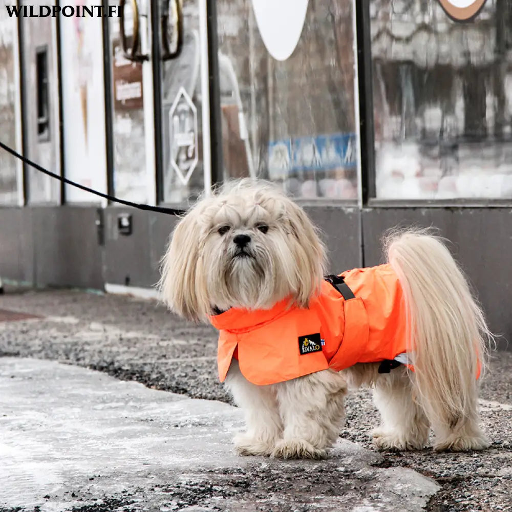 Kivalo koiran takki ohto