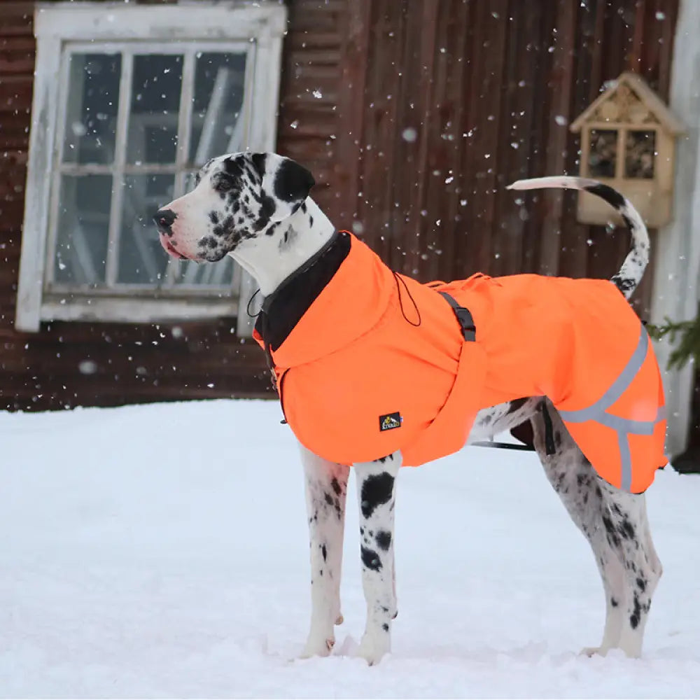 Kivalo koiran takki ohto - tuulipuku tuulipusakka - wildpoint outdoors retkeilyvarusteet verkkokaupasta