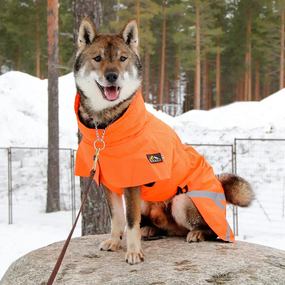 Kivalo koiran takki ohto - tuulipuku tuulipusakka - wildpoint outdoors retkeilyvarusteet verkkokaupasta