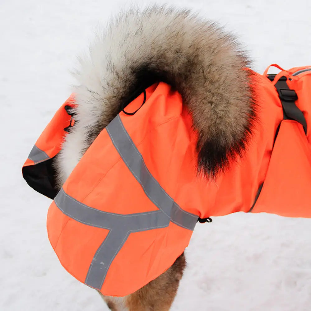 Kivalo koiran takki ohto - tuulipuku tuulipusakka - wildpoint outdoors retkeilyvarusteet verkkokaupasta