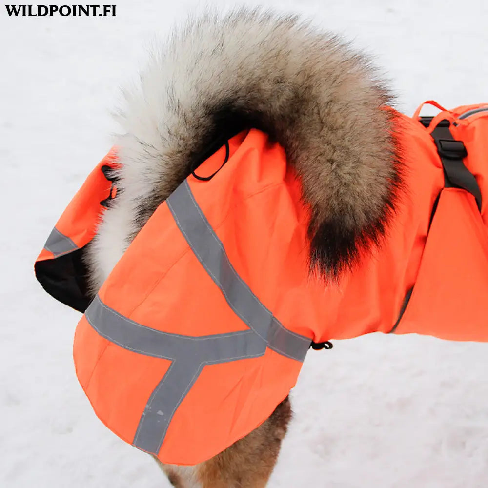 Kivalo koiran takki ohto