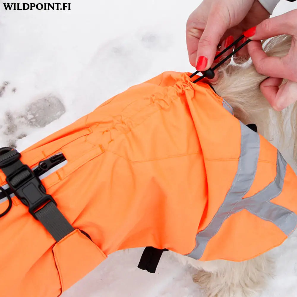 Kivalo koiran takki ohto