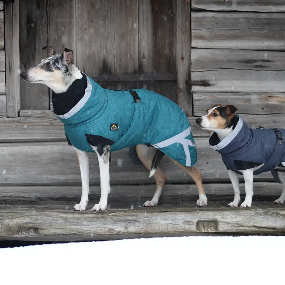 Kivalo koiran toppatakki luosto - takki - wildpoint outdoors retkeilyvarusteet verkkokaupasta