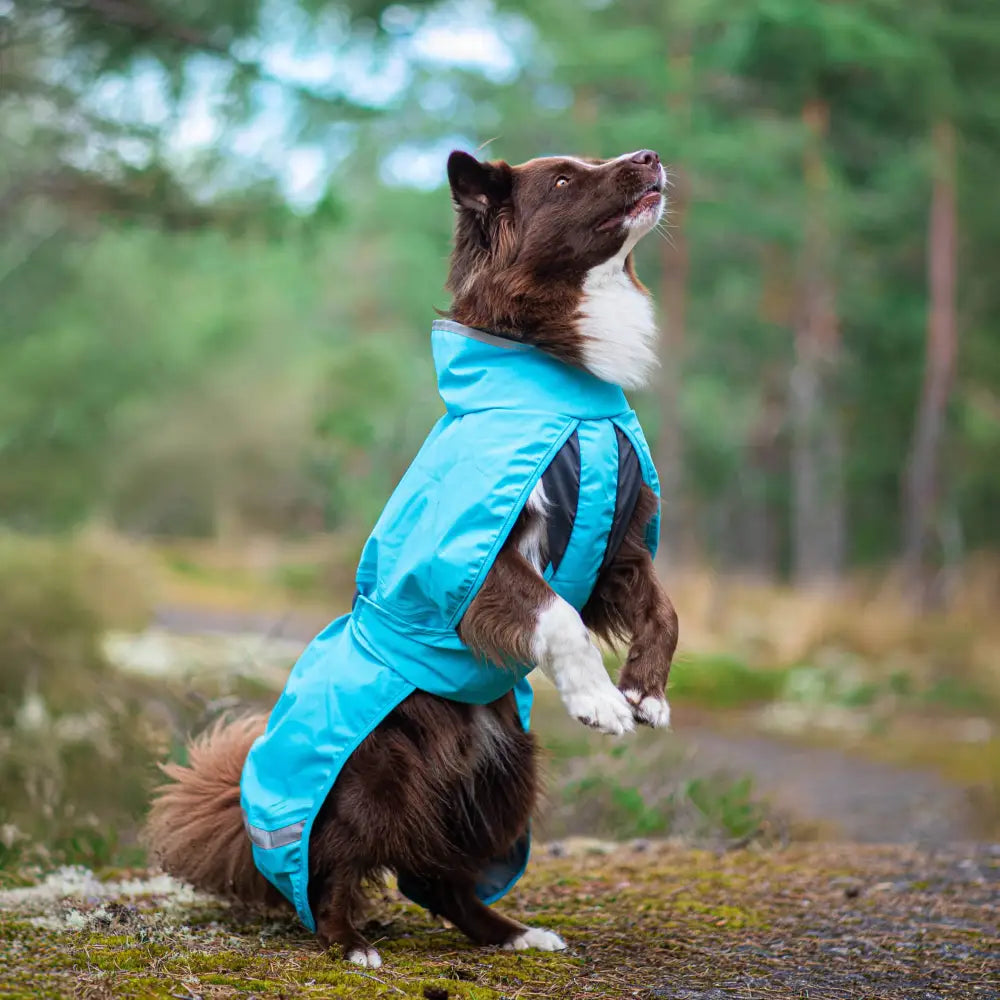 Kuoripomppa arctic - retkeily