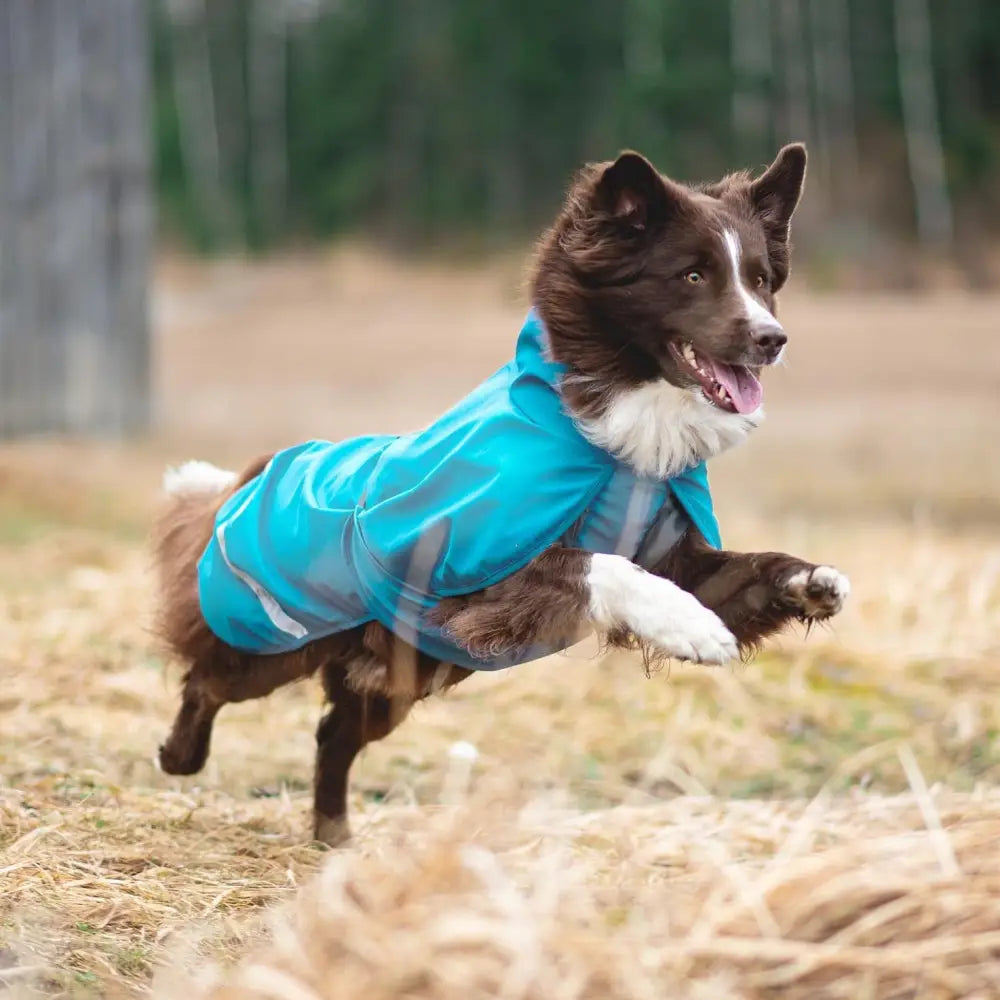 Kuoripomppa arctic - retkeily