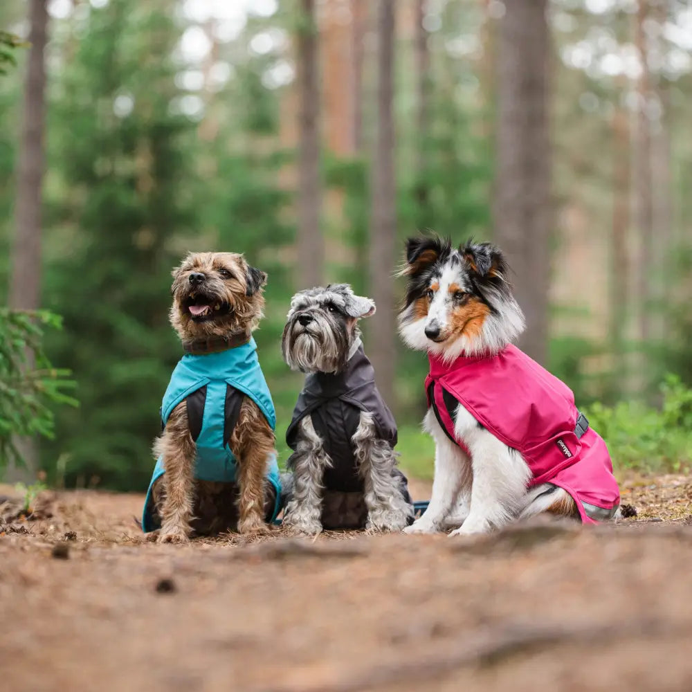 Kuoripomppa pink - vedenpitävä koirantakki retkeily