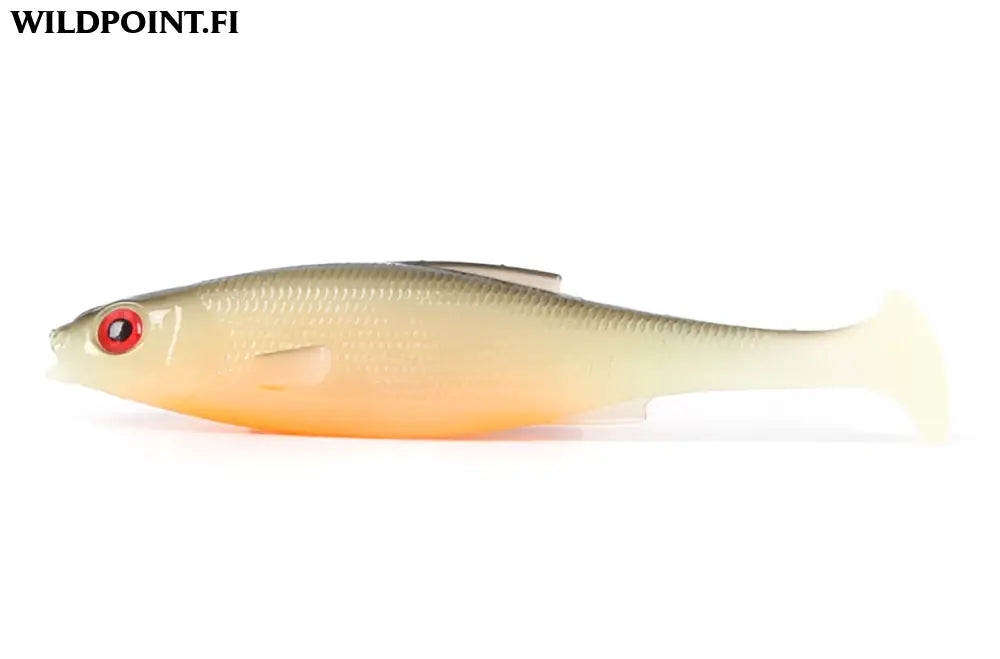 Lmab køfi roach shad