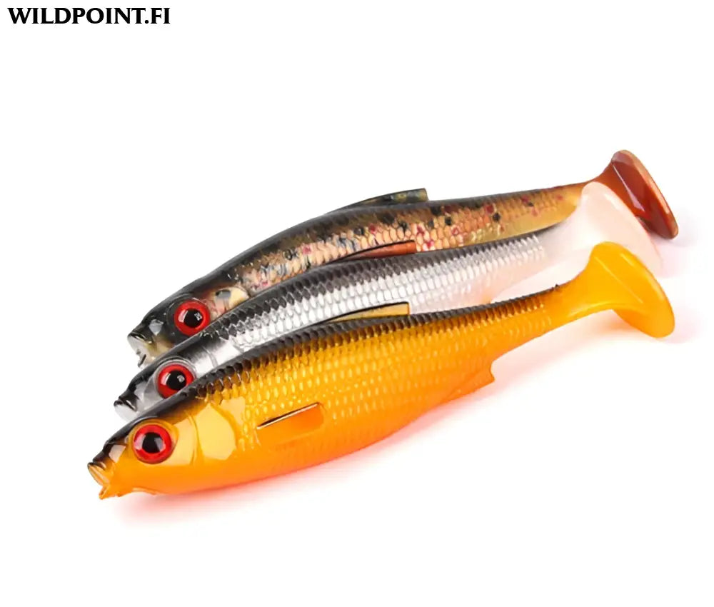 Lmab køfi roach shad