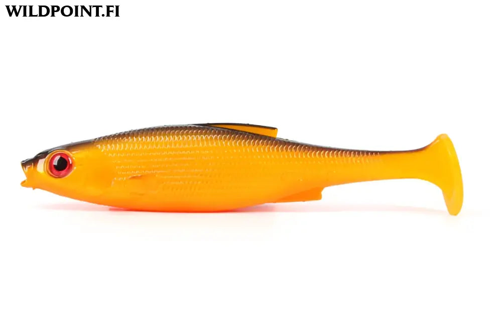 Lmab køfi roach shad