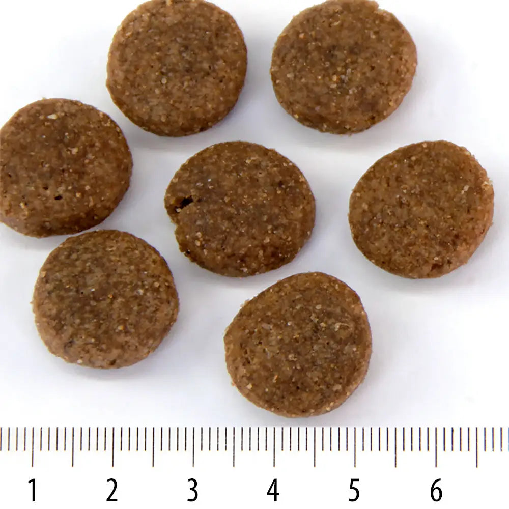 Maxi rokka - wildpoint outdoors retkeilyvarusteet verkkokaupasta