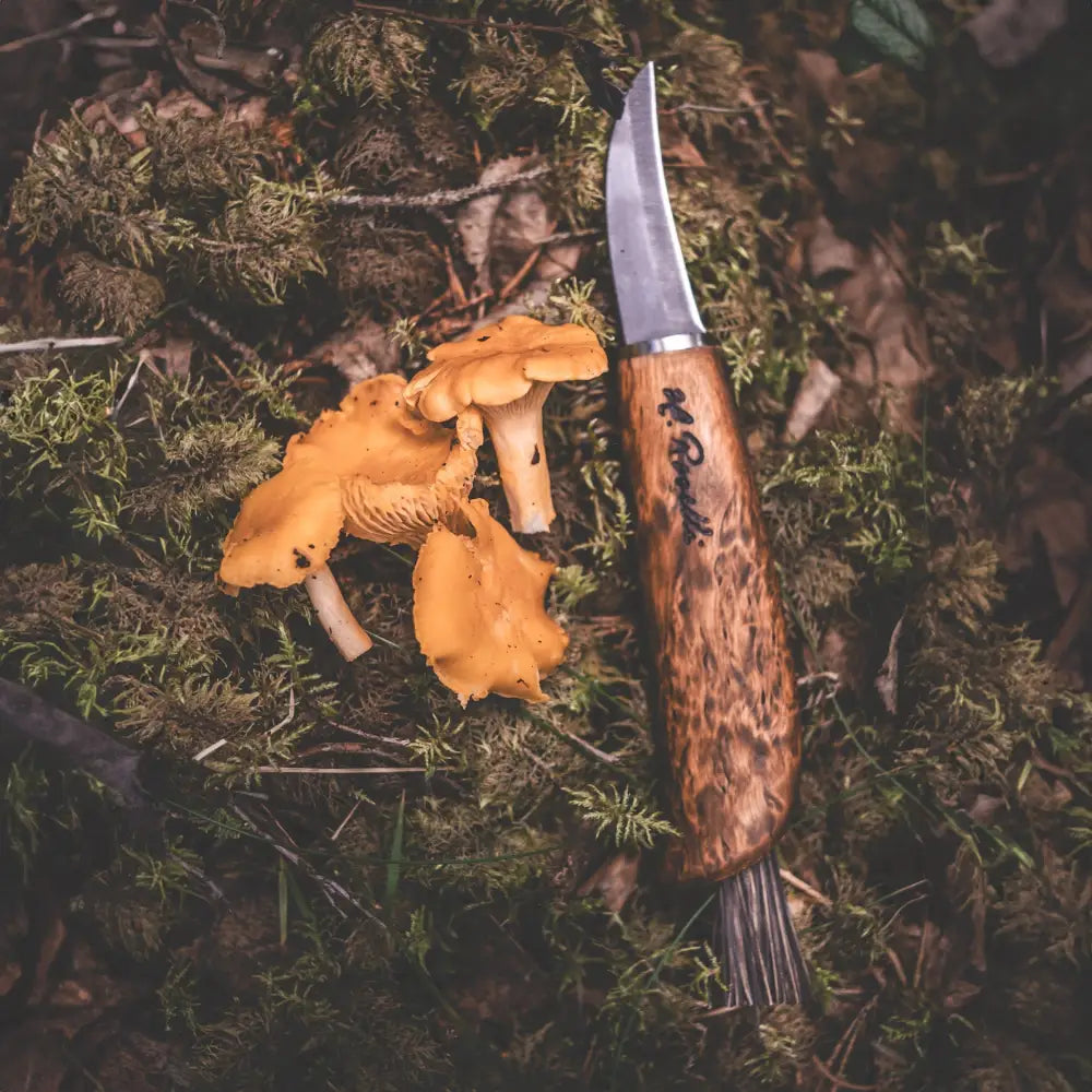 Mushroom knife - wildpoint outdoors retkeilyvarusteet verkkokaupasta