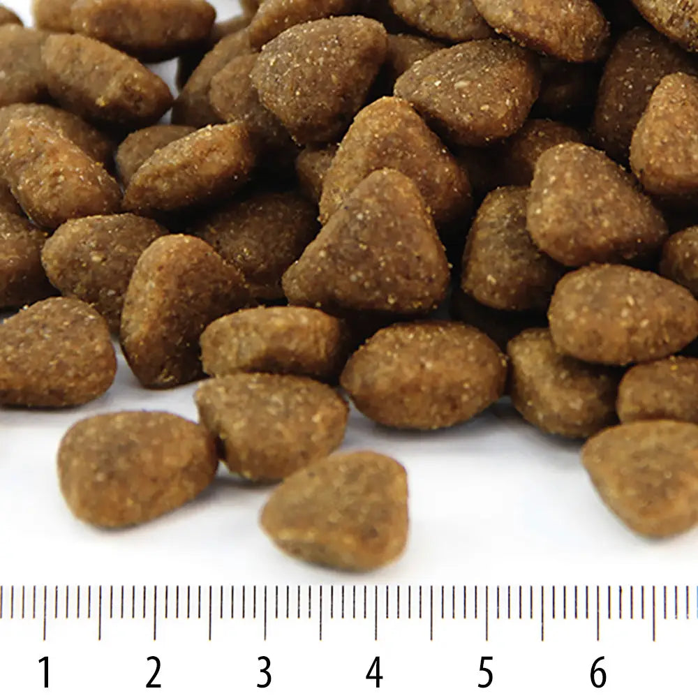 Pentu rokka - wildpoint outdoors retkeilyvarusteet verkkokaupasta