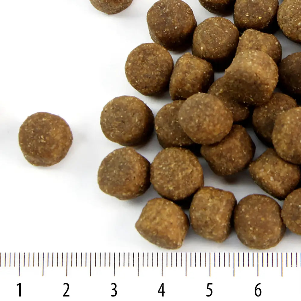 Perus rokka - wildpoint outdoors retkeilyvarusteet verkkokaupasta