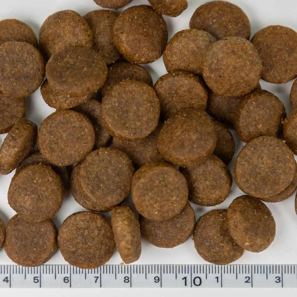 Brown round kibble pellets of probooster adult maxi chicken 12kg dog food product visible from front side