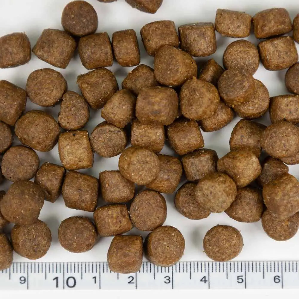 Brown round and square kibble pellets scattered on white surface of probooster adult mini and medium 12kg dog food