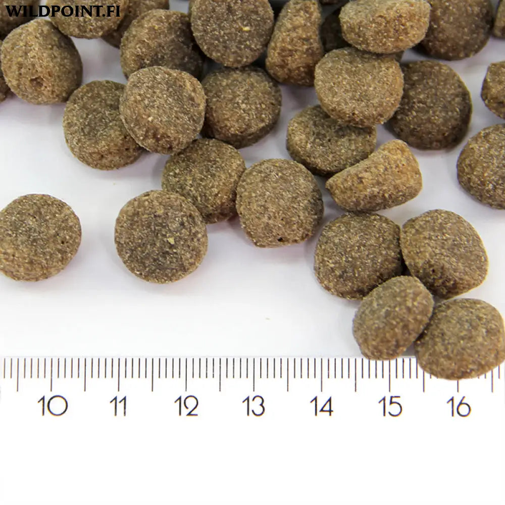 Probooster adult sensitive lamb - probooster adult sensitive lamb - wildpoint outdoors retkeily