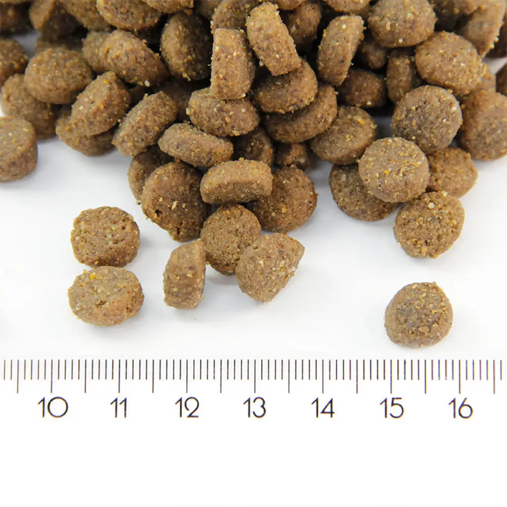 Probooster puppy mini & medium chicken - wildpoint retkeilyvarusteet verkkokaupasta