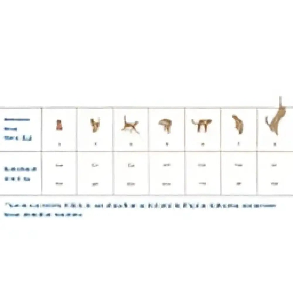 Auringonvalossa hohtavat metalliset kultaiset minimalistiset avaimenperät quattro cat adult sterilized 1,5 kg -tuotteessa