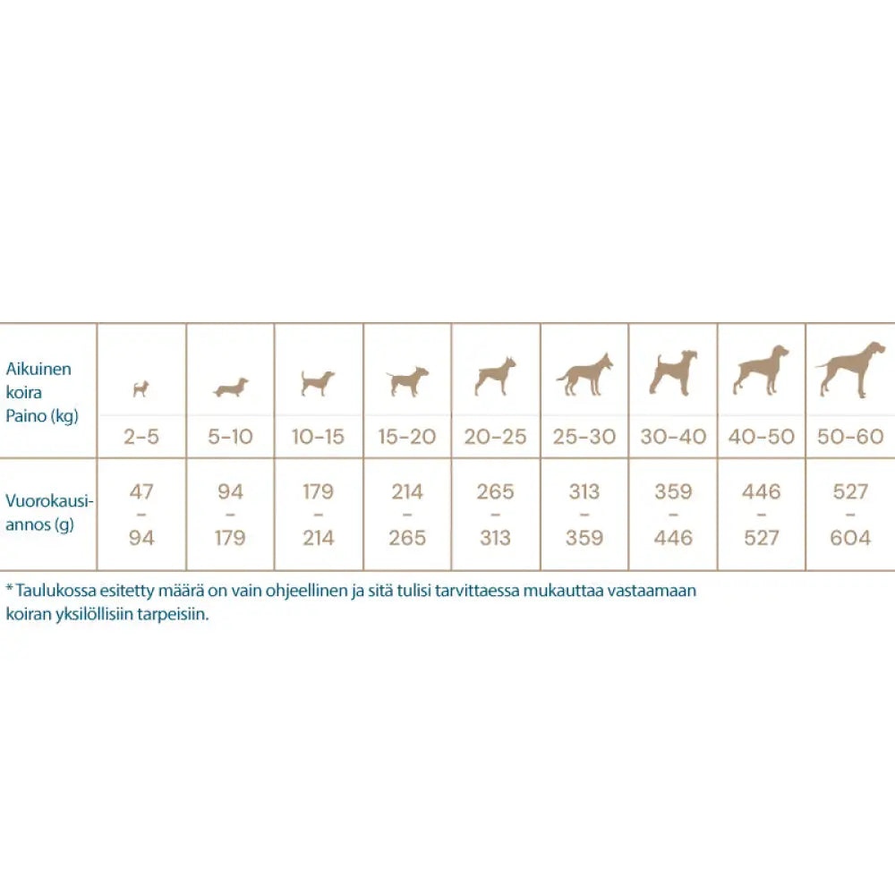 Quattro dog adult lammasta sisältävä super premium koiranruoka - lammasruoka koirille retkeilyvarusteet verkkokaupasta
