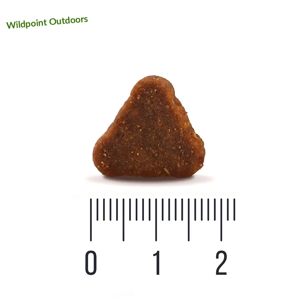 Quattro dog adult salmon all breed - wildpoint outdoors retkeily