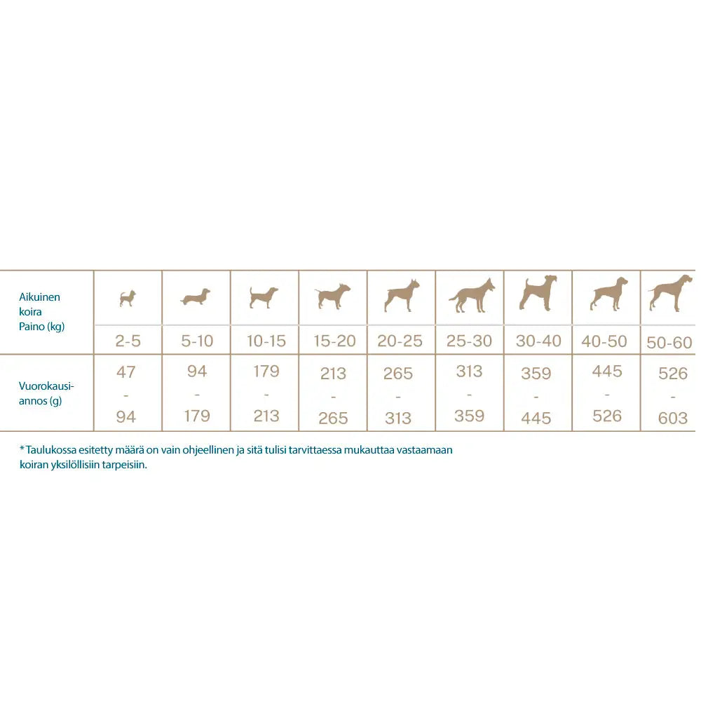 Quattro koira aikuiset lohiruoka kaikille roduille - koiranruoka dog adult salmon all breed - wildpoint outdoors