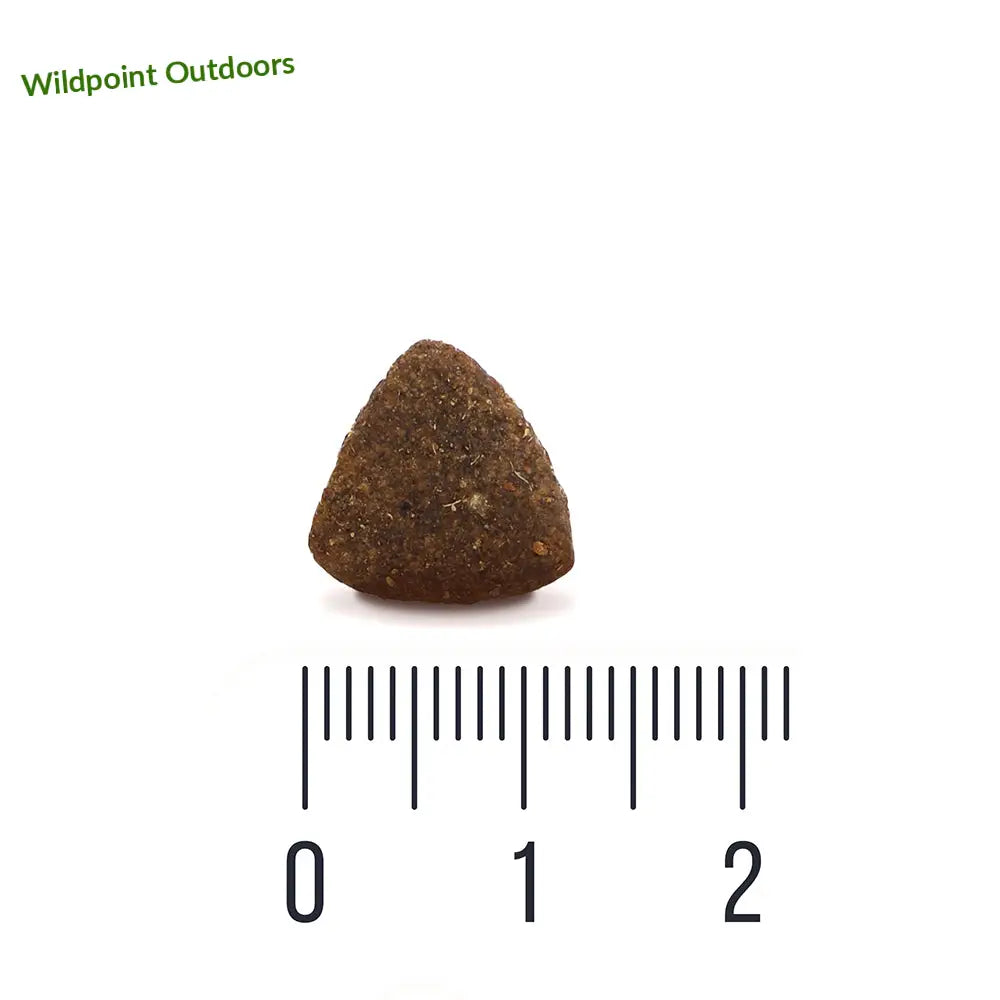 Quattro dog small breed adult with lamb - wildpoint retkeily