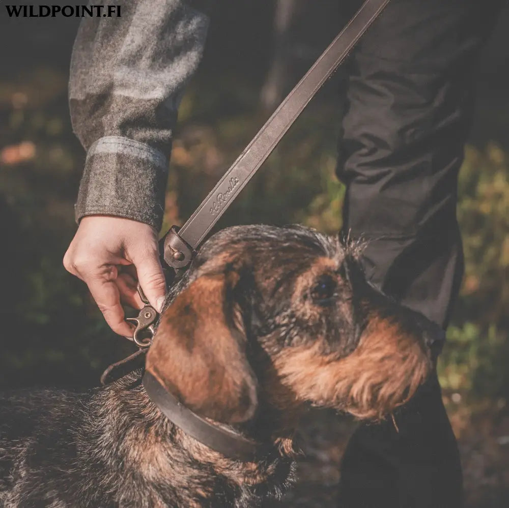 Roselli-koiran talutin käsilenkillä - accessories roselli-koiran talutin käsilenkillä - wildpoint retkeily