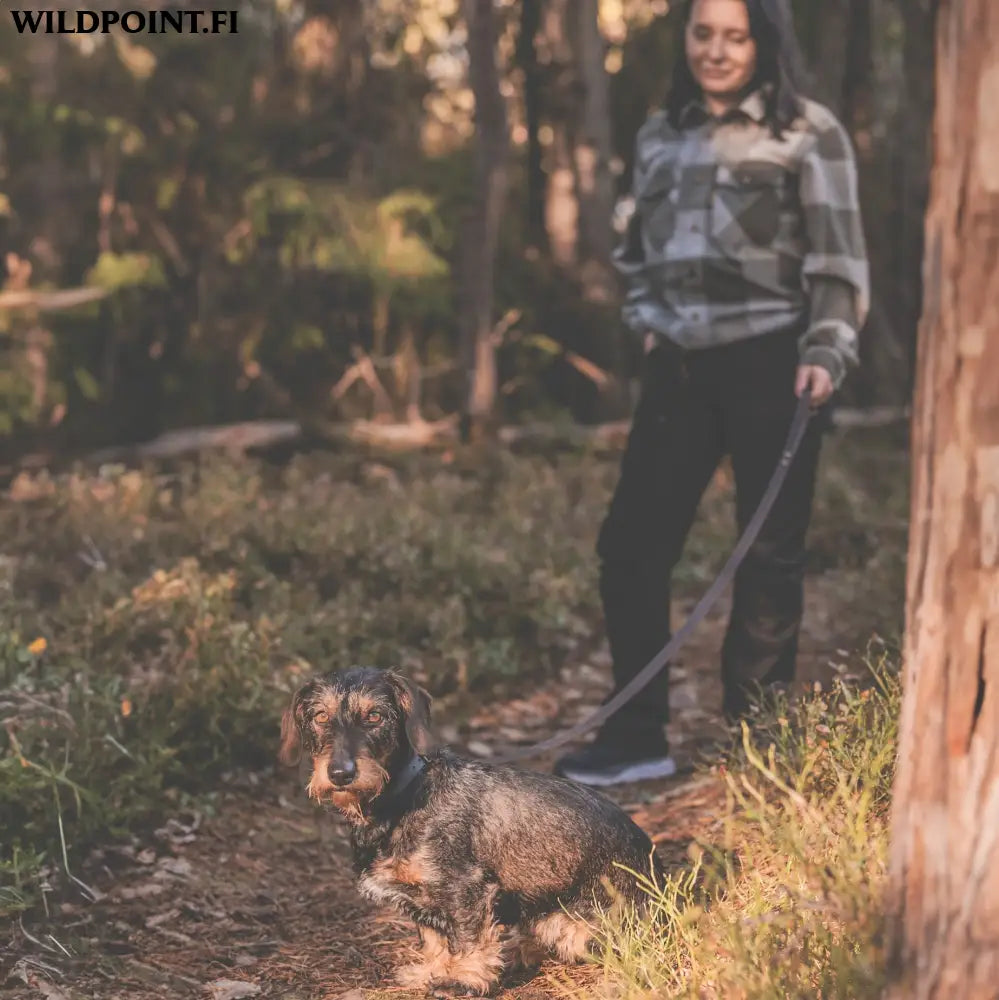 Roselli-koiran talutin käsilenkillä - accessories roselli-koiran talutin käsilenkillä - wildpoint retkeily