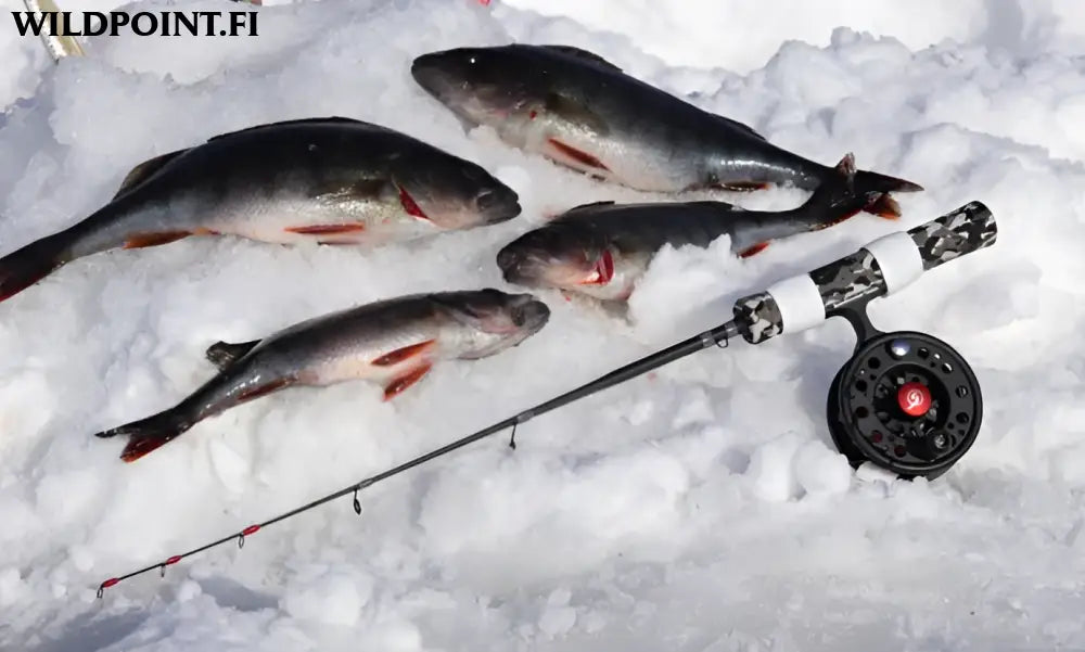 Scandinavian tackle quadstik 20’’ combo