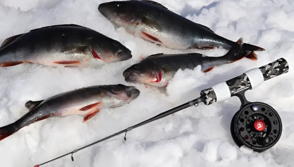 Scandinavian tackle quadstik 20 combo musta ja hopean värinen camo kela ja punainen keskus kalastuskepolla