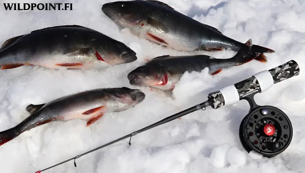 Scandinavian tackle quadstik 20’’ combo