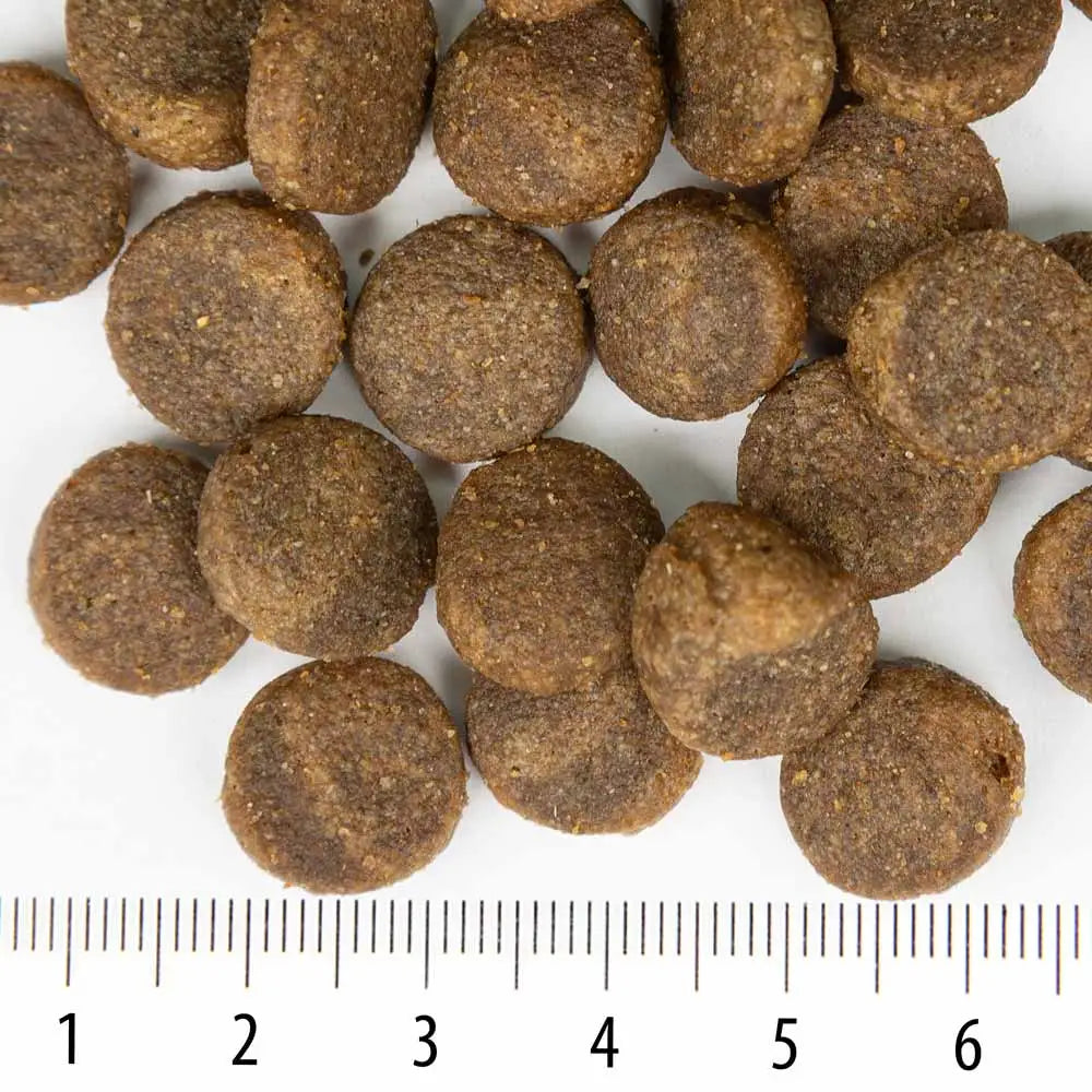 Sensitive rokka lohi - wildpoint outdoors retkeilyvarusteet verkkokaupasta