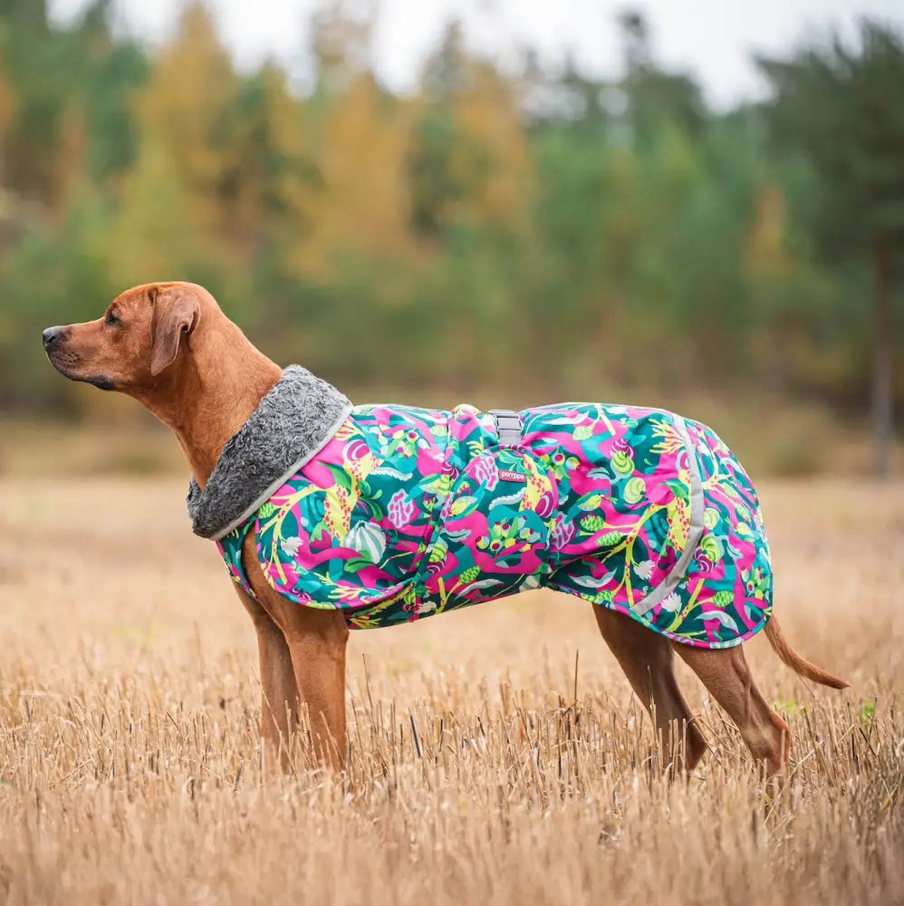 Toppapomppa trail - retkeily