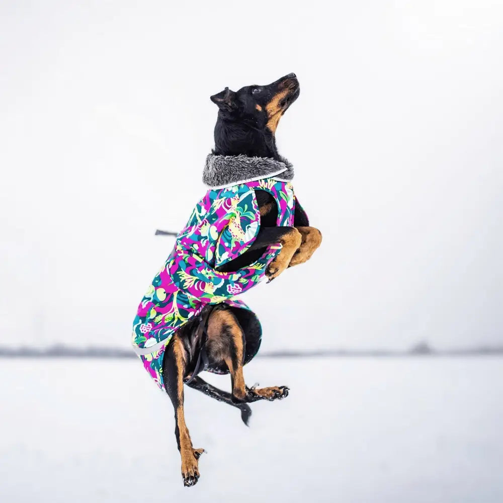 Toppapomppa trail - retkeily