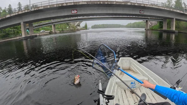 Wildpoint Matta syvännevaappu 7cm, 15g