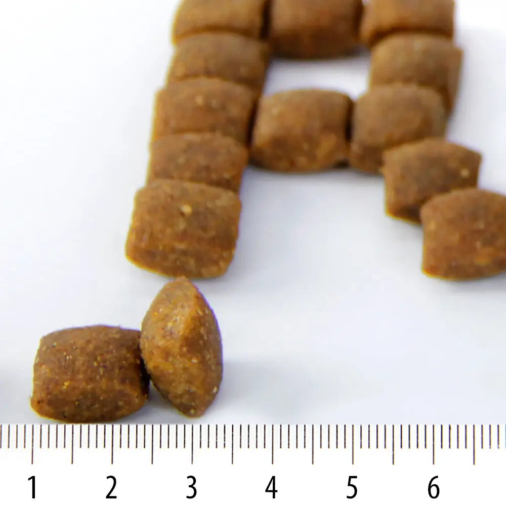 Voima rokka - wildpoint outdoors retkeilyvarusteet verkkokaupasta