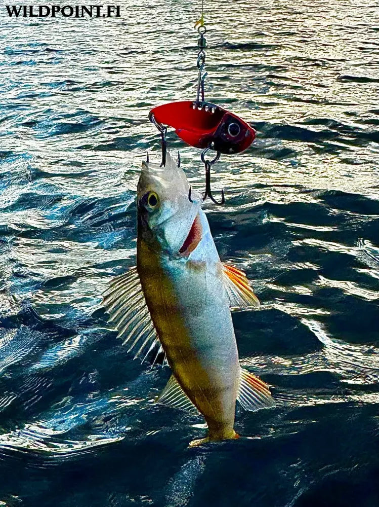 Wildpoint blady 5cm 10g