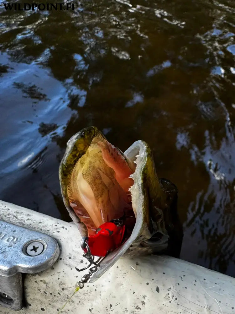 Wildpoint blady 5cm 10g