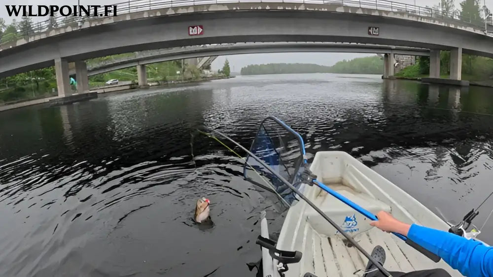 Wildpoint matta syvännevaappu 7cm 15g