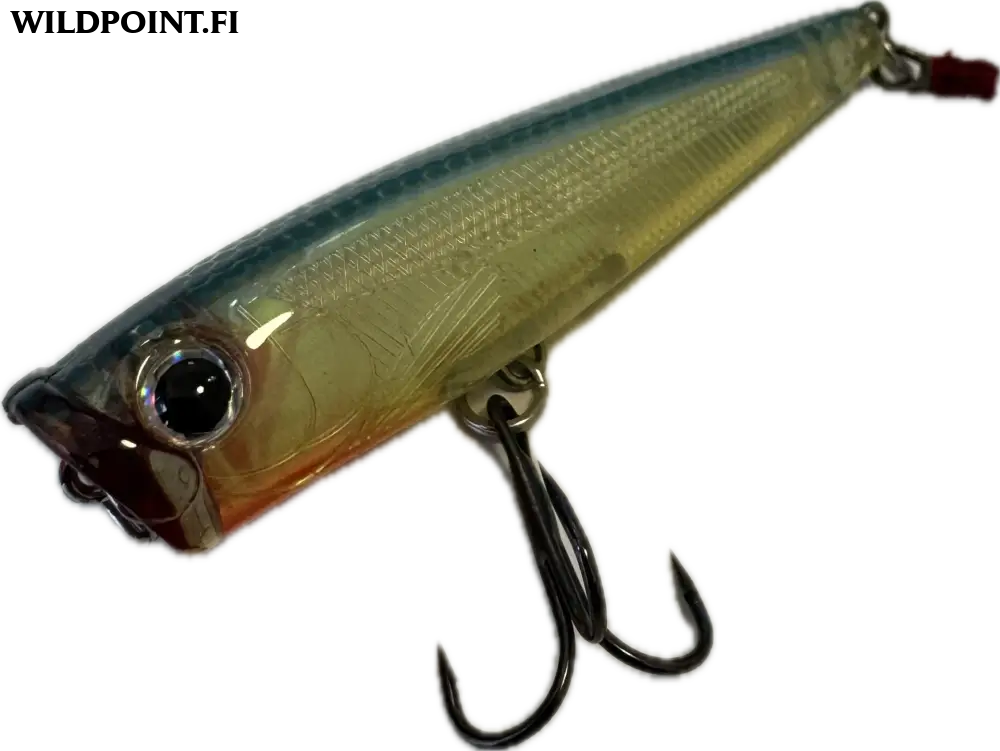Wildpoint nami popper 6,5cm 7g - nami popper #2
