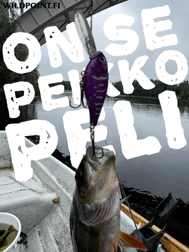 Wildpoint tammukka 5,5cm 7g